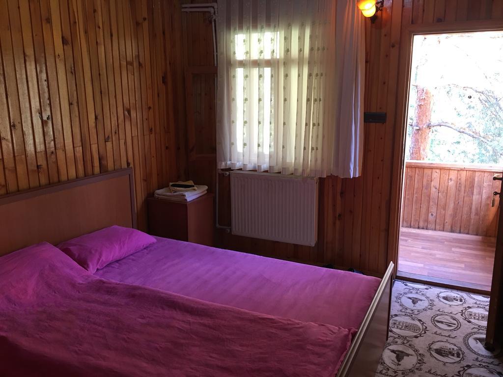 Agara Pansiyon Bostanci Rum bild