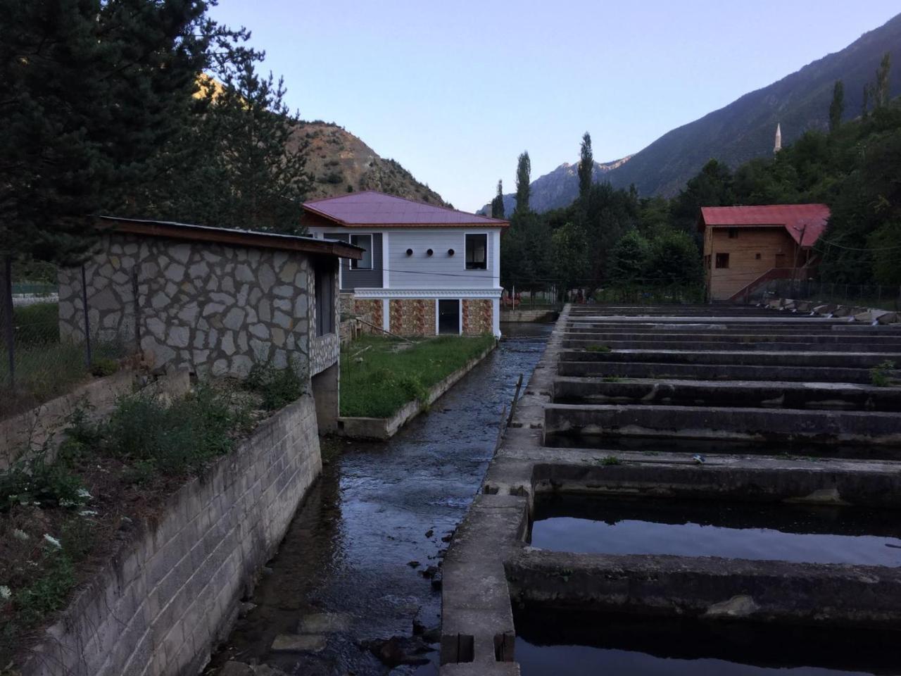 Agara Pansiyon Bostanci Exteriör bild