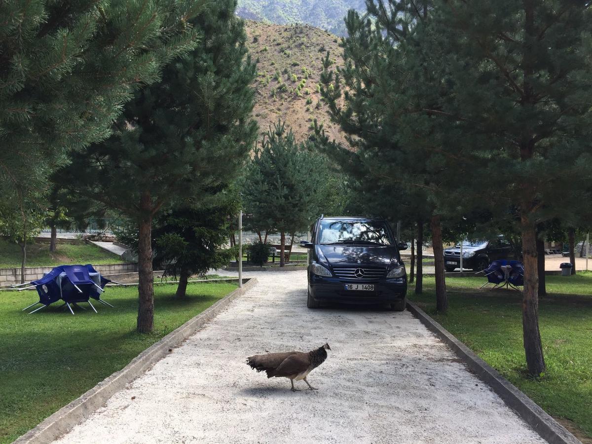 Agara Pansiyon Bostanci Exteriör bild